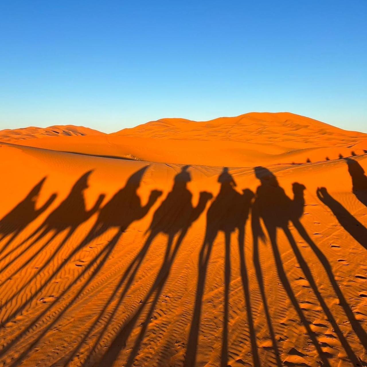 Sahara Luxury Glamping Hotell Merzouga Exteriör bild